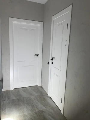 Двери DREAM, RAL 9003 Status