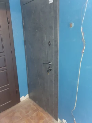 Двери Флеш 2 цвета Qdoors