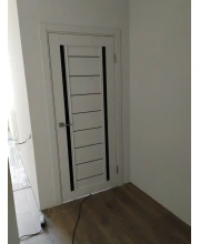 Двери Darumi Doors Madrid дуб ольс Черное стекло