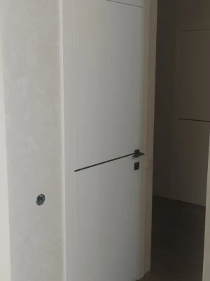 Двери A08 BLK Dooris