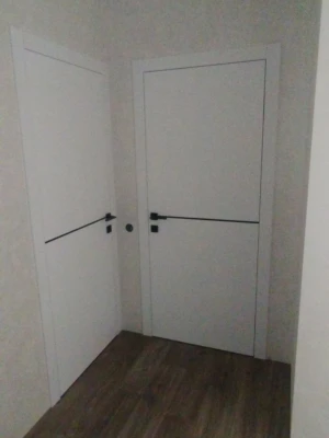 Двери A08 BLK Dooris