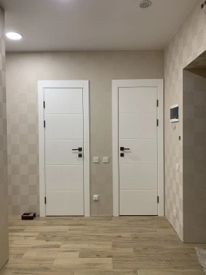 Двери Lines F5 "Omega"