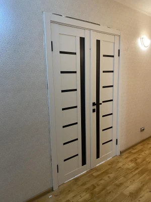 Двери Arkadia BLK KFD