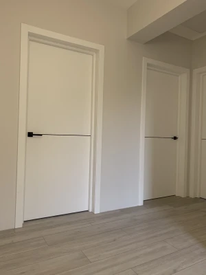 Двери Loft line M01 Adoor