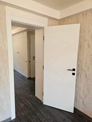 Двери Lines F9 Omega