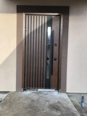 Двери Рио S Loft дуб темный Страж