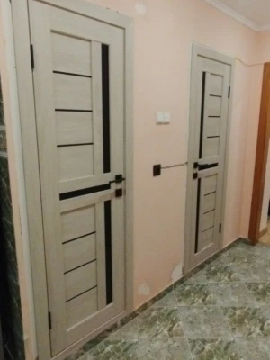 Двери ROCKWOOD Island Тринити 1