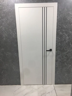 Двери A04 Dooris
