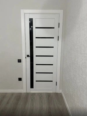 Двери Arkadia BLK KFD