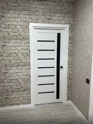 Двери Arkadia BLK KFD
