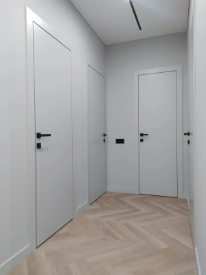 Двери G01 Dooris