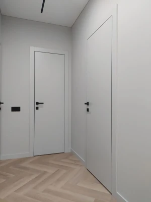 Двери G01 Dooris