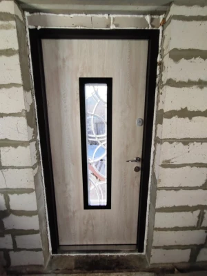 Двери Defender (KTM) 408 Defender Glass RAL 8022Т Abwehr