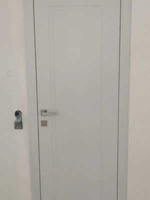 Двери P01 Dooris