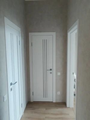 Двери ROCKWOOD Island Вертикаль 2