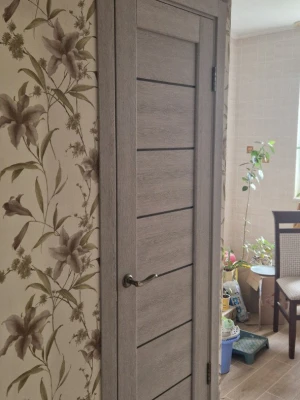 Двери ROCKWOOD Island Консул 2