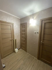Двери ROCKWOOD Island Консул 2