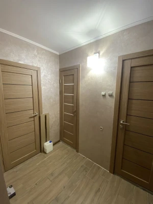 Двері ROCKWOOD Island Консул 2