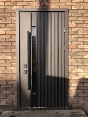 Двери Rio-S Loft дуб темный Страж