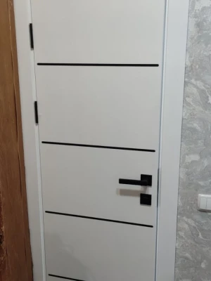 Двері F5 "RockWood"