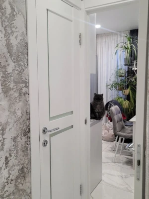 Двери SACRAMENTO "StilDoors"
