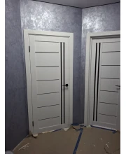 Двери Syndicate Doors SD-PVC-114 Черное стекло