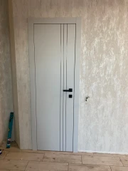 Двери Lines L7 Omega
