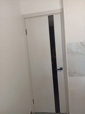 Двери Darumi Doors Plato Line PTL-04 дуб ольс