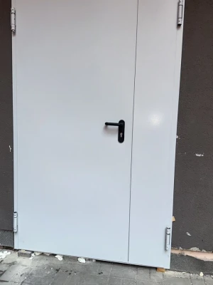 Входные Двери Технические EI 60 RAL 7035 "Форт"