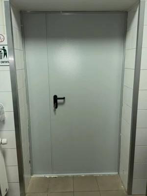 Входные Двери Технические EI 60 RAL 7035 "Форт"
