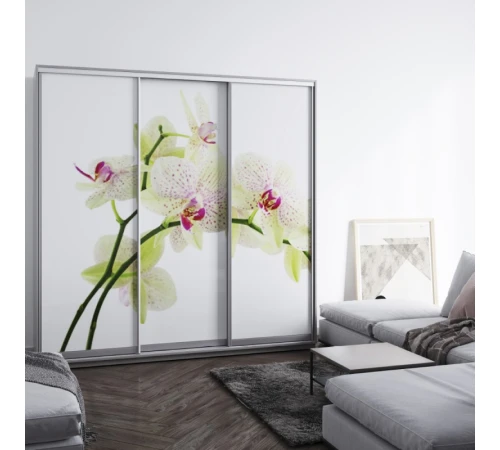 Мебель Шафа-купе Новатор H-4246