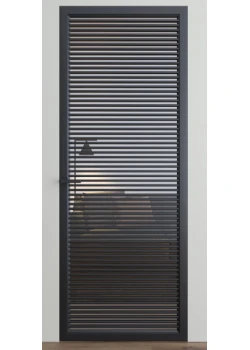 Двери Dooris Glass DG10
