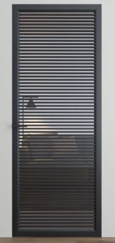 Двері Dooris Glass DG10