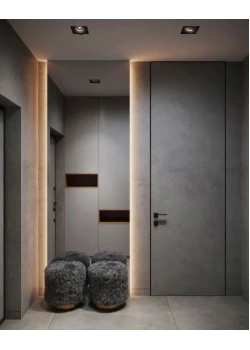Двери RockWood Design до потолка Roof 1