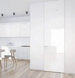 Двері RockWood Design до стелі Roof 10