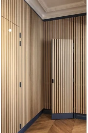 Двери RockWood Design с рейками Rail 1