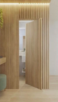 Двері RockWood Design з рейками Rail 5