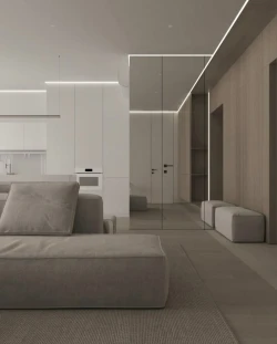 Двері RockWood Design Reflex Line З дзеркалом