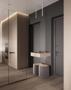Двери RockWood Design Glass Hide С зеркалом
