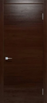 Двери Status Иена ПГ2