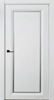 Двері Status FLY Ral 9003