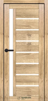 Двері Syndicate Doors SD-ECOTOP-101