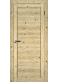 Двери Terminus Ukrainian Doors UD-6