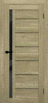 Двері Terminus Ukrainian Doors UD-13 Чорне скло
