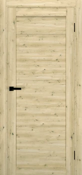 Двері Terminus Ukrainian Doors UD-18