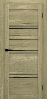 Двері Terminus Ukrainian Doors UD-11 Чорне скло