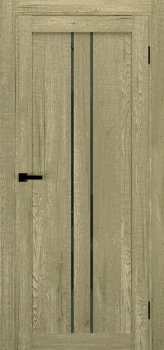 Двері Terminus Ukrainian Doors UD-14 Чорне скло