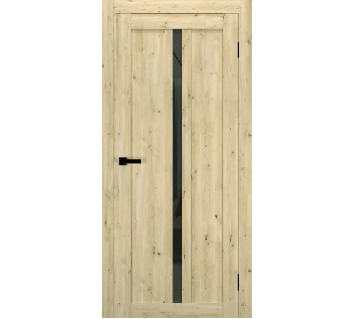 Міжкімнатні Двері Terminus Ukrainian Doors UD-19 Чорне скло Ламінатин