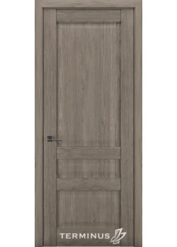 Двері Terminus Synchro 608 ПГ