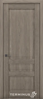 Двері Terminus Synchro 608 ПГ